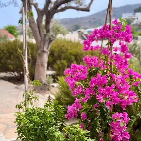 Mistral-patmos 3* סקאלה