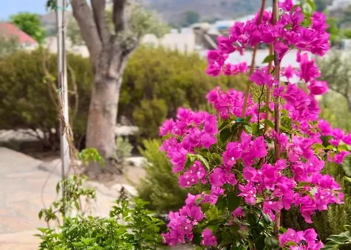 Mistral-patmos 3* Szkála